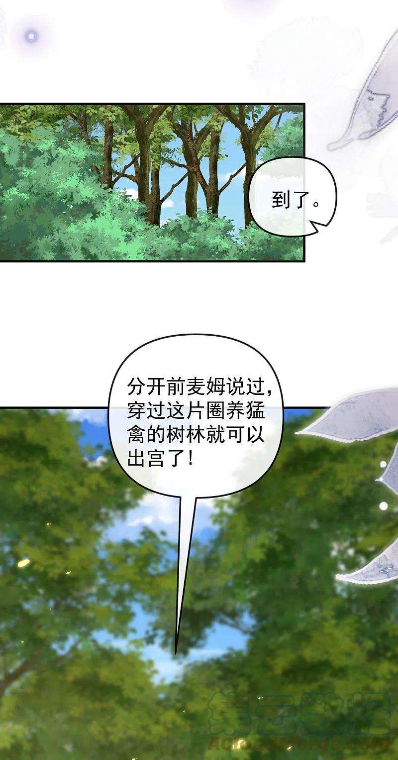 王的第一宠后150话 她也来海洲了？