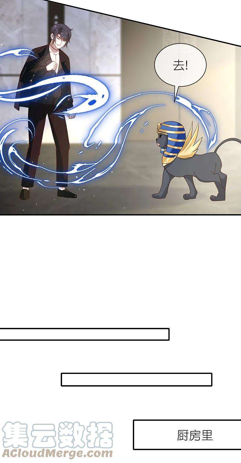 王的第一宠后161话 成神！