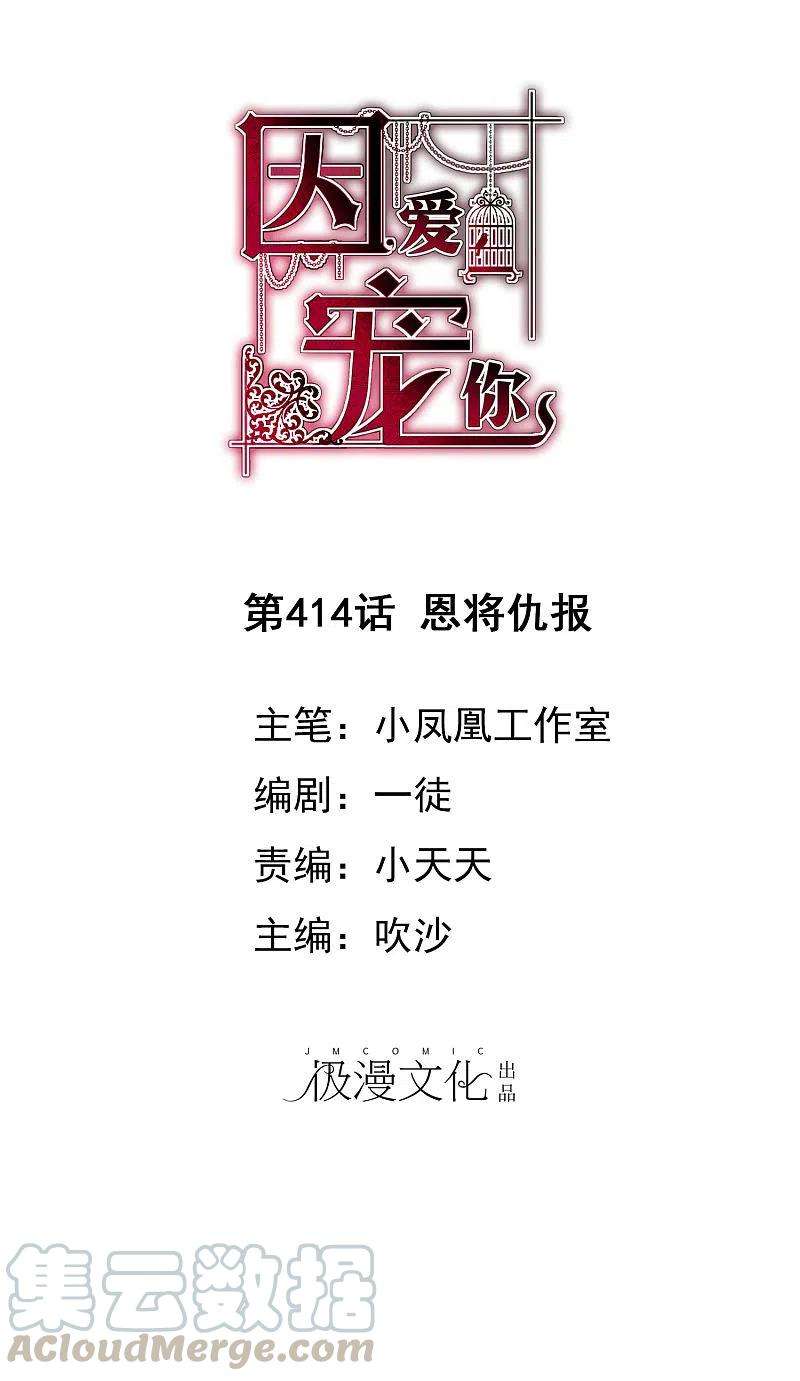 因爱宠你414话