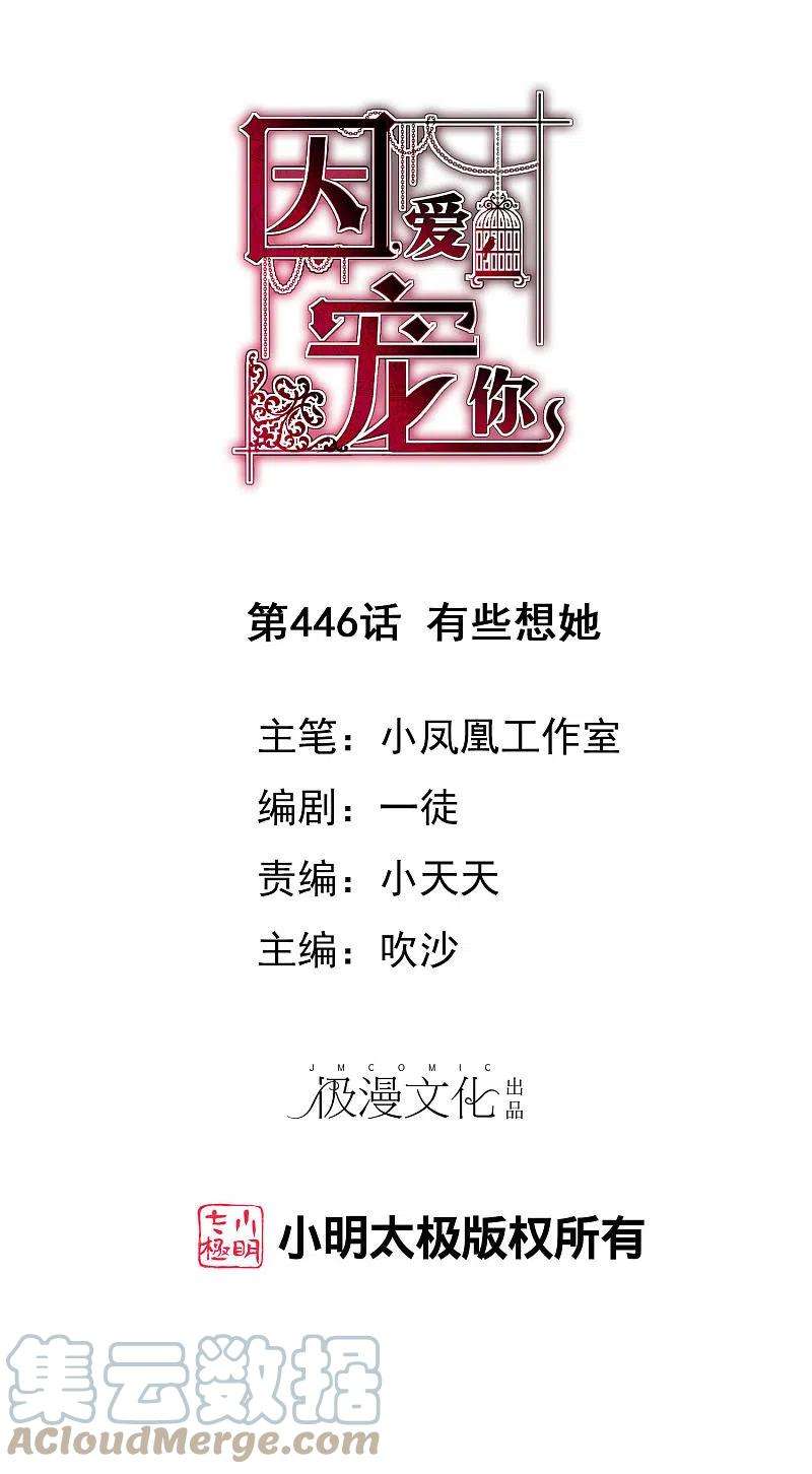 因爱宠你446话