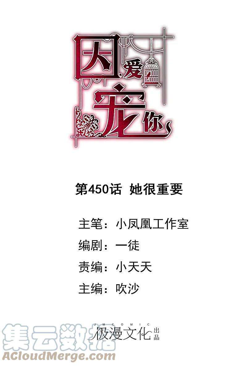 因爱宠你450话
