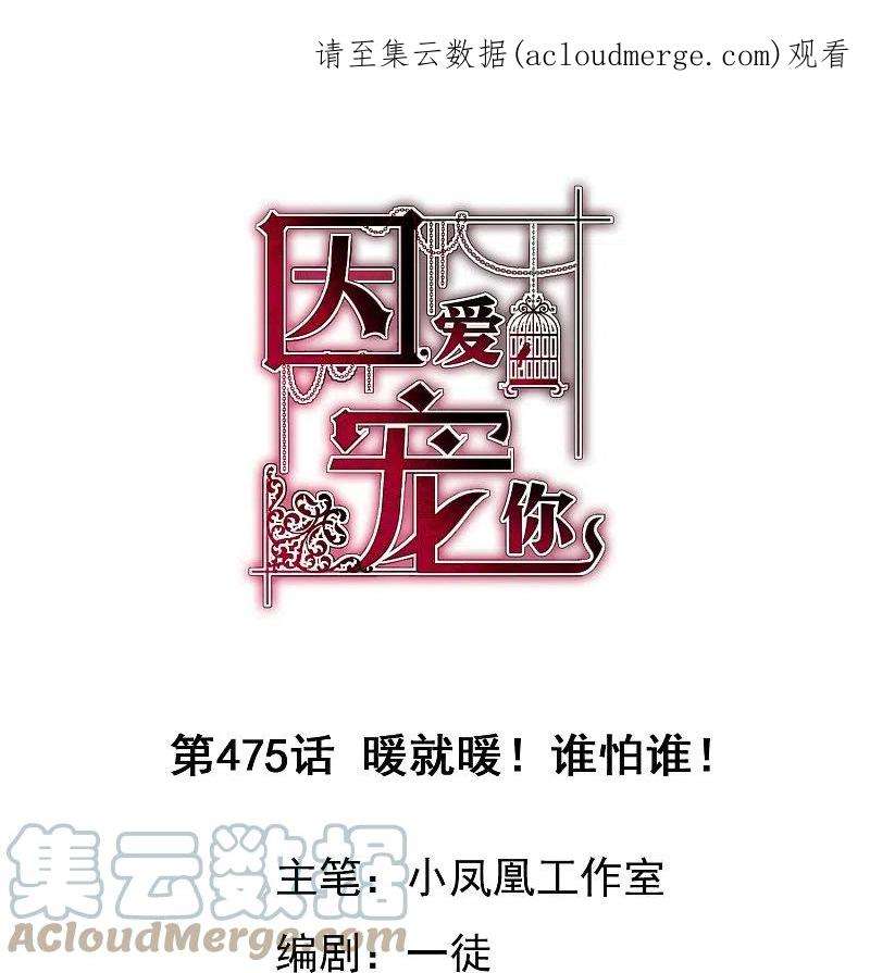 因爱宠你475话