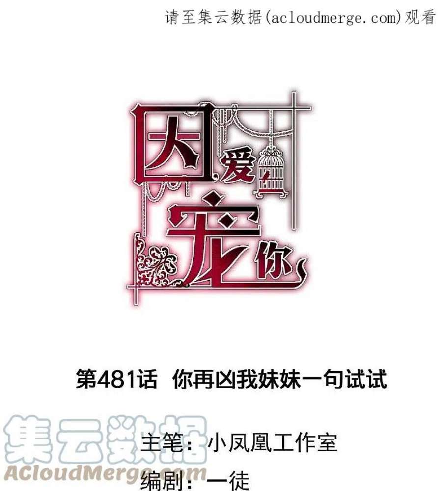 因爱宠你481话