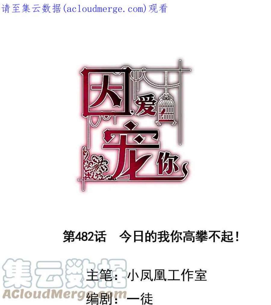 因爱宠你482话