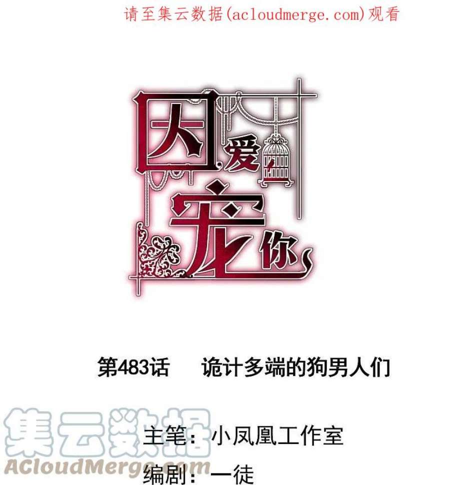 因爱宠你483话