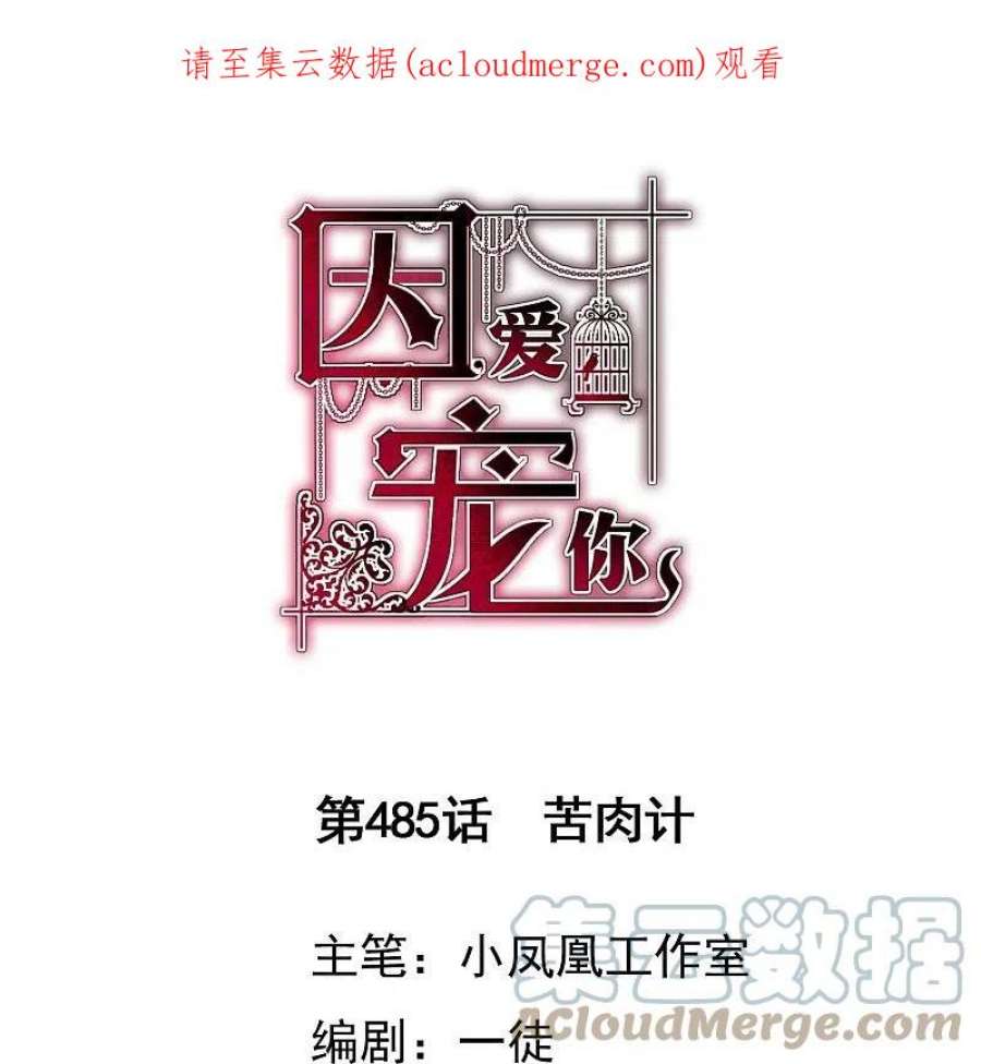 因爱宠你485话