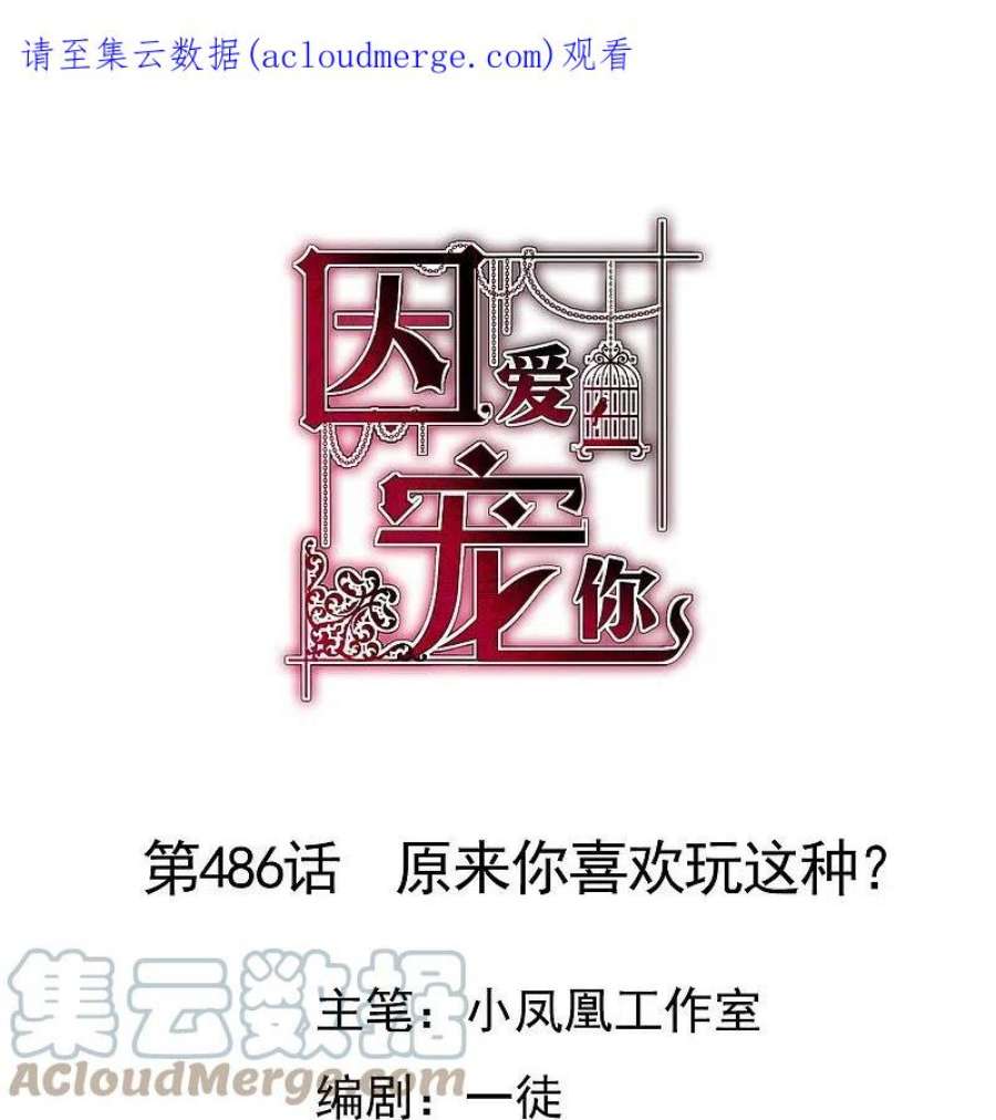 因爱宠你486话