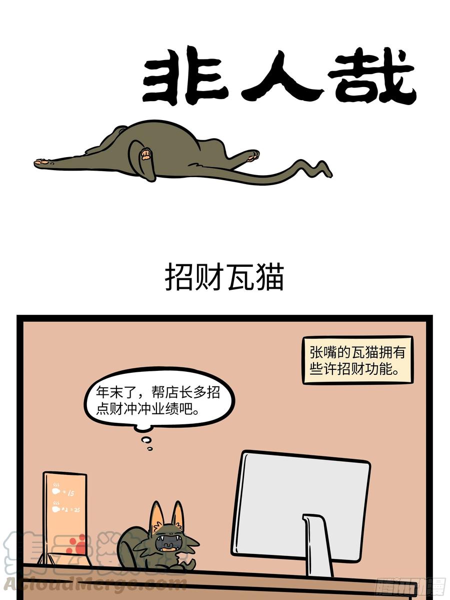 非人哉643 孵蛋公鸡，公鸡中的战斗鸡