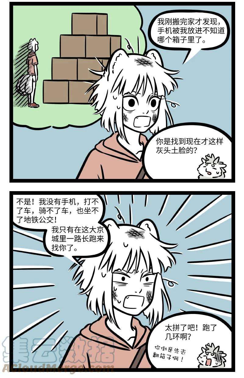 非人哉704 乱收东西一时爽，找起东西火葬场