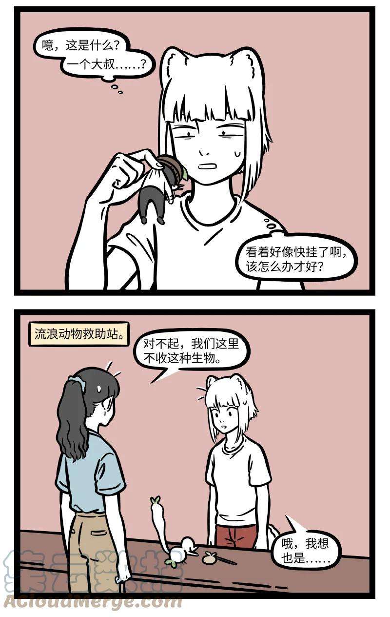 非人哉723 救助小动物，要爱心关怀也要科学合理