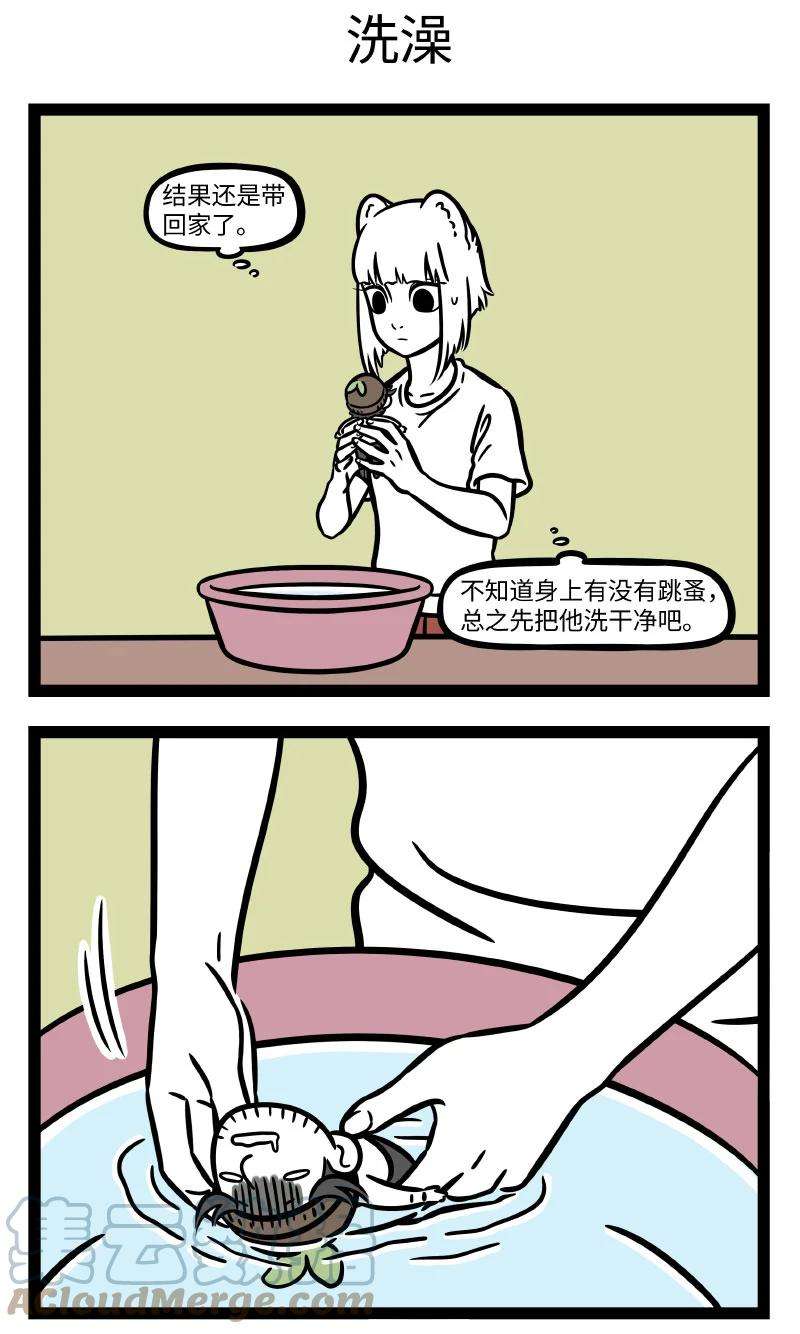 非人哉723 救助小动物，要爱心关怀也要科学合理