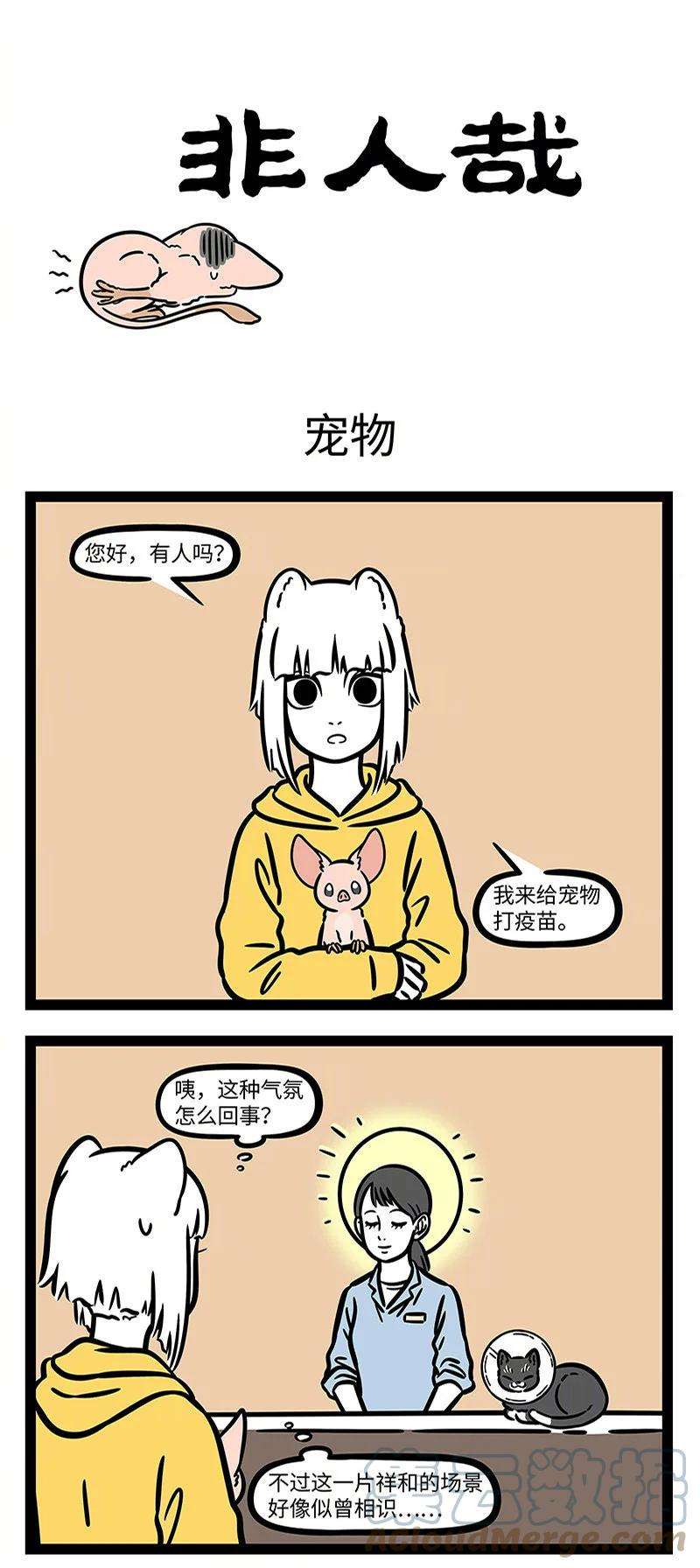 非人哉733 好主人要记得带宠物去医院