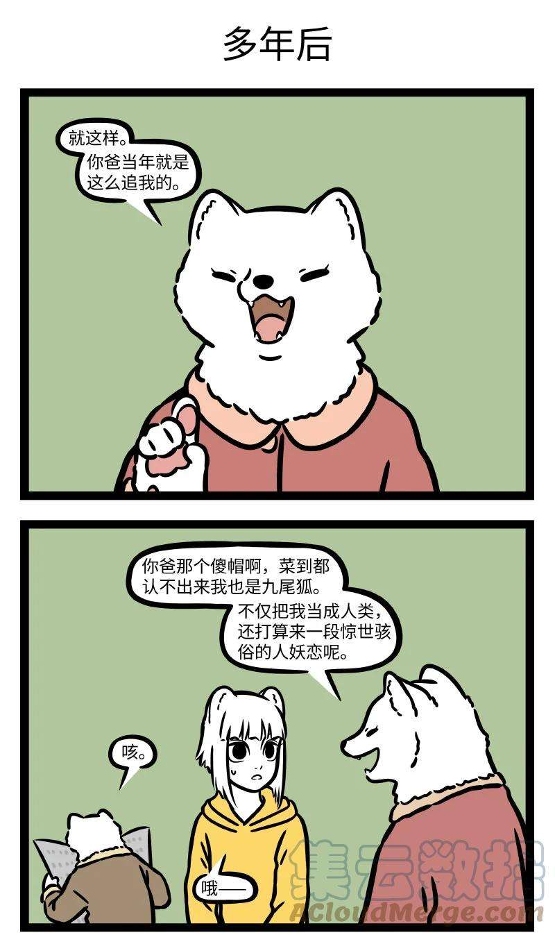 非人哉743 狐狸其实是一种相当忠贞的动物