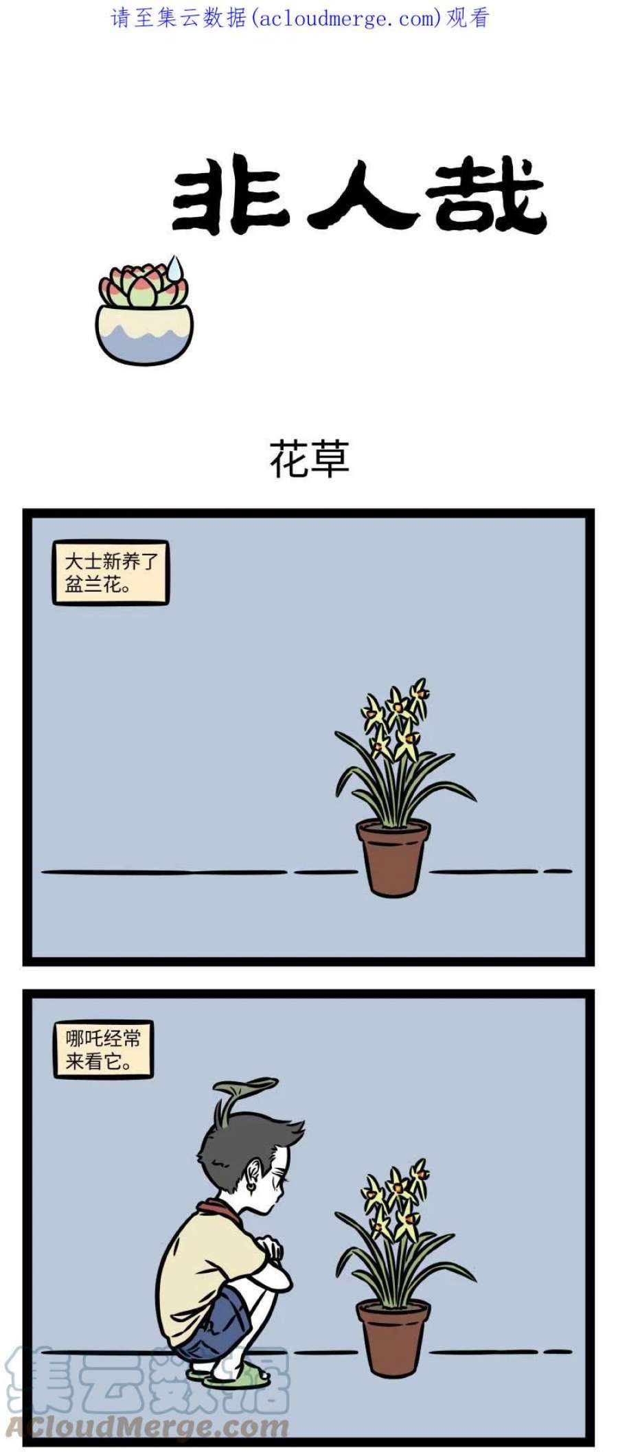 非人哉809 如果植物能说话，大自然一定会是个很吵的地方