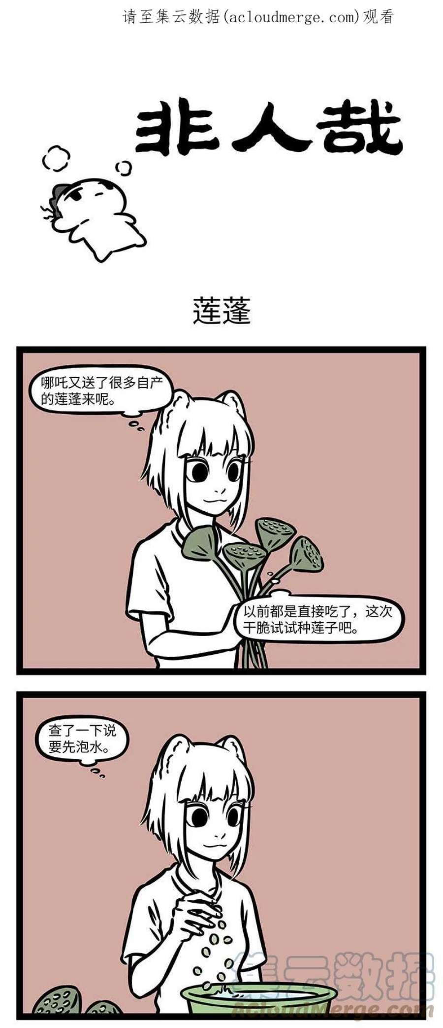 非人哉813 莲子还是新摘下来的好吃