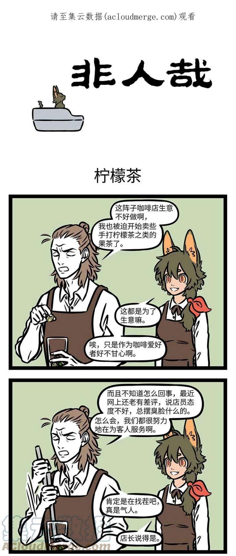 非人哉816 小猫咪能有什么坏心思呢