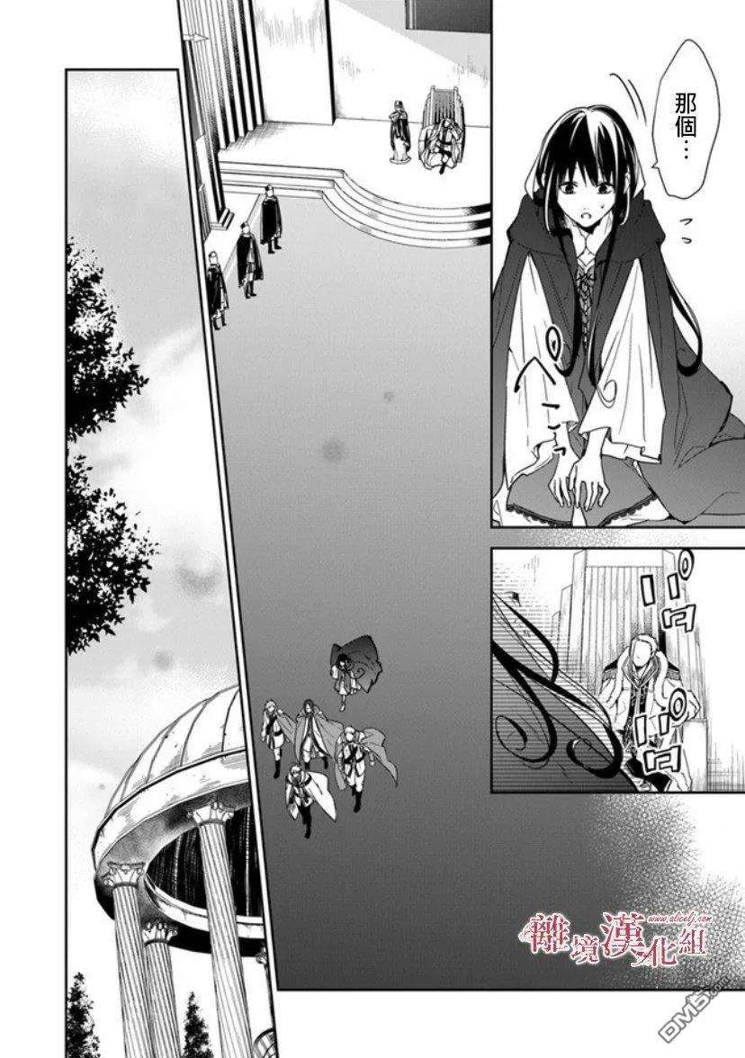 转生魔女宣告灭亡9话