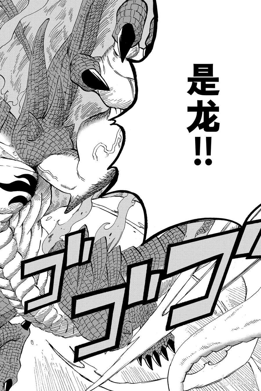 妖精的尾巴 百年任务20 火焰的传承