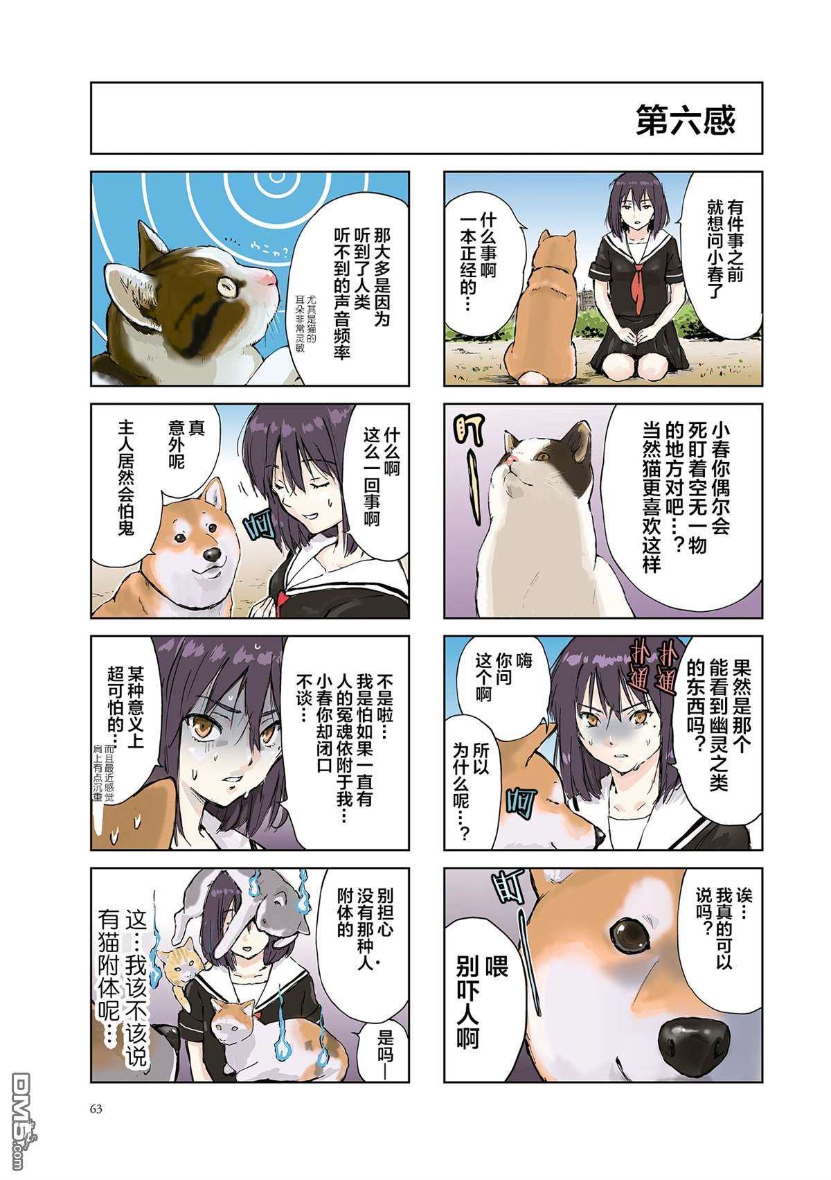 世界末日柴犬为伴第9话