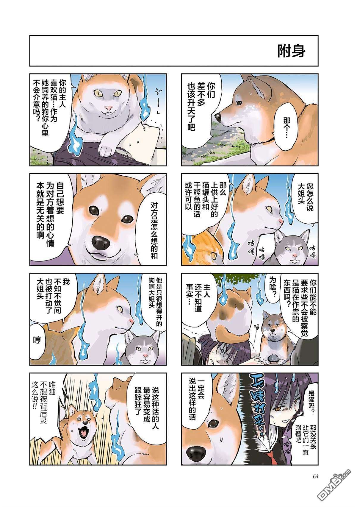 世界末日柴犬为伴第9话