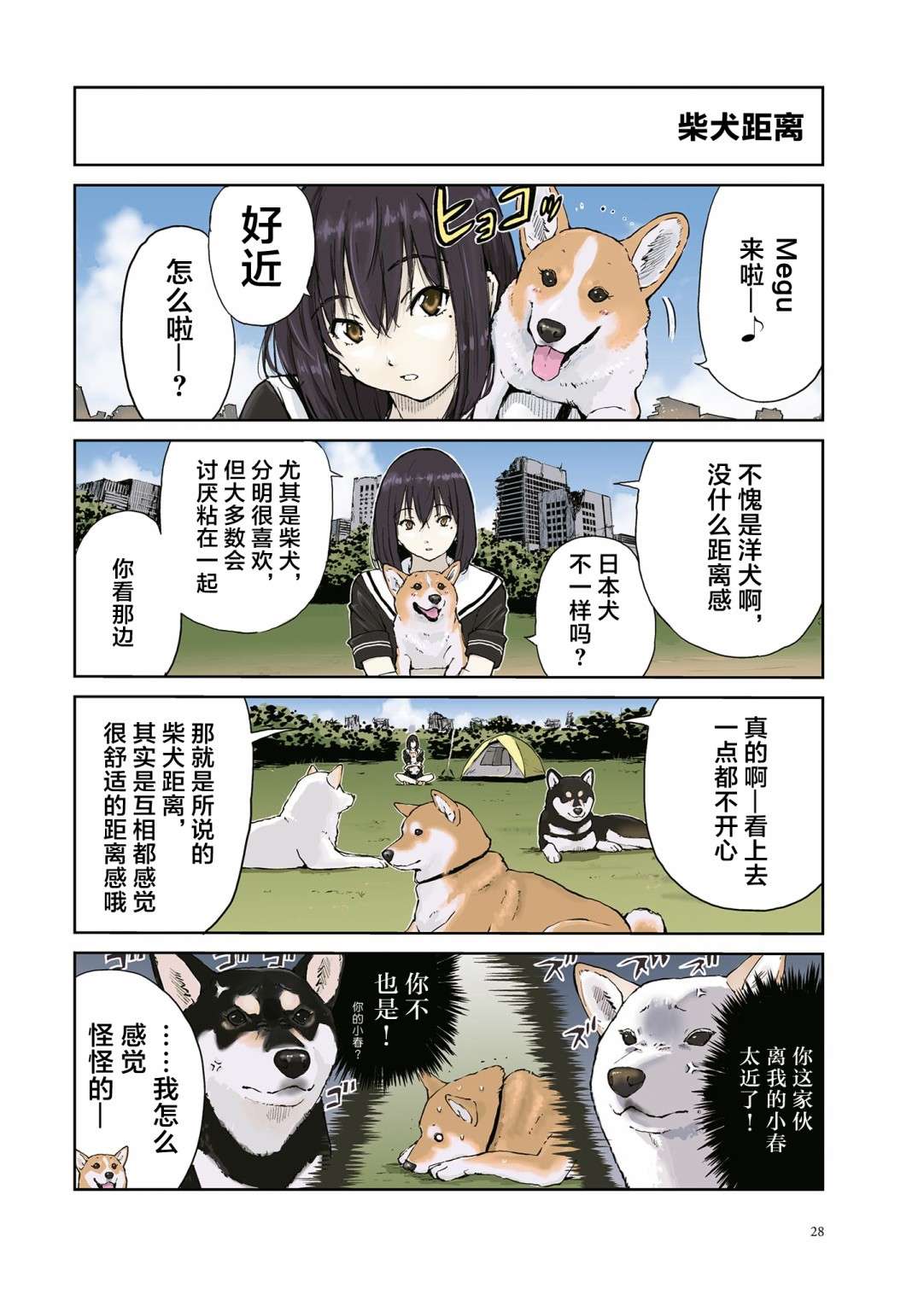 世界末日柴犬为伴第19话