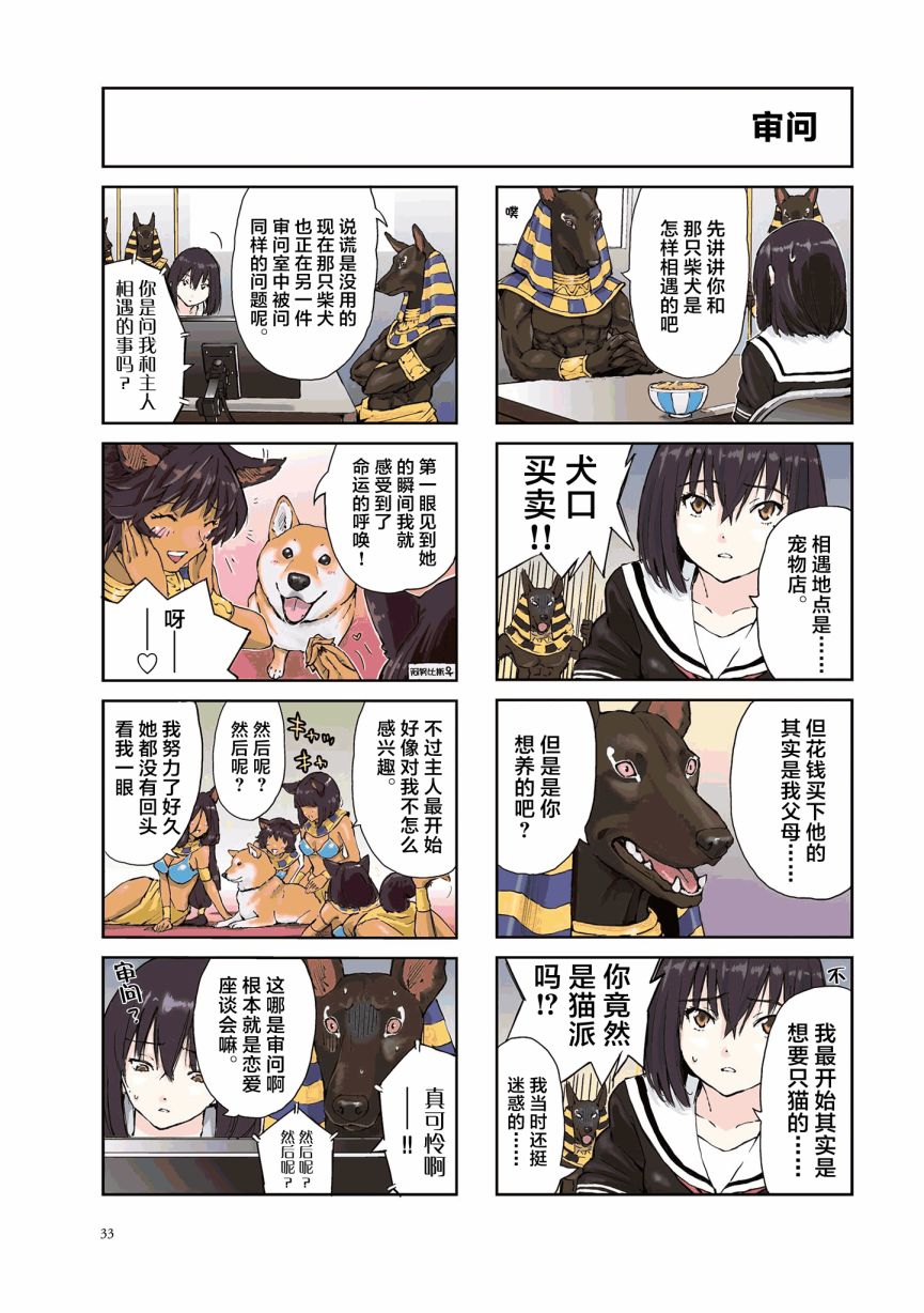 世界末日柴犬为伴第20话