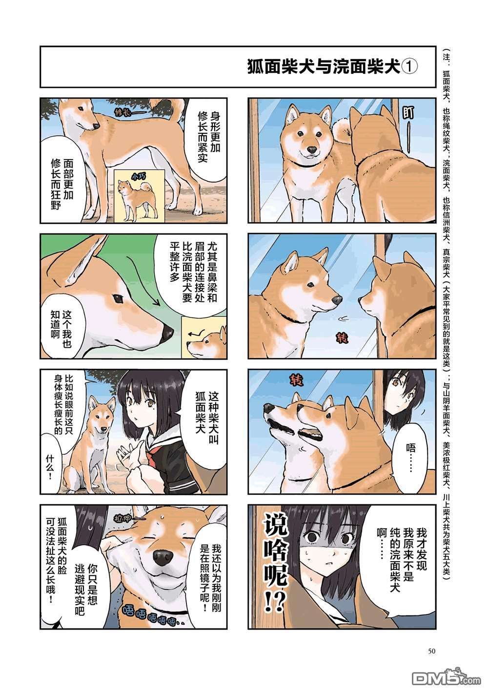 世界末日柴犬为伴第22话