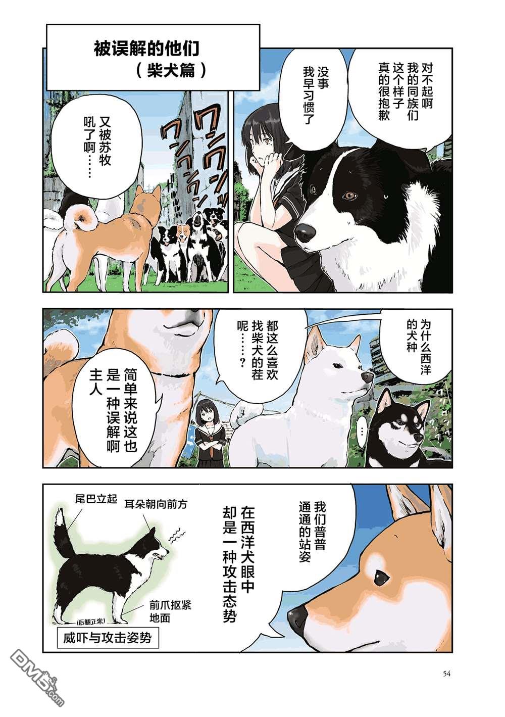 世界末日柴犬为伴第22话