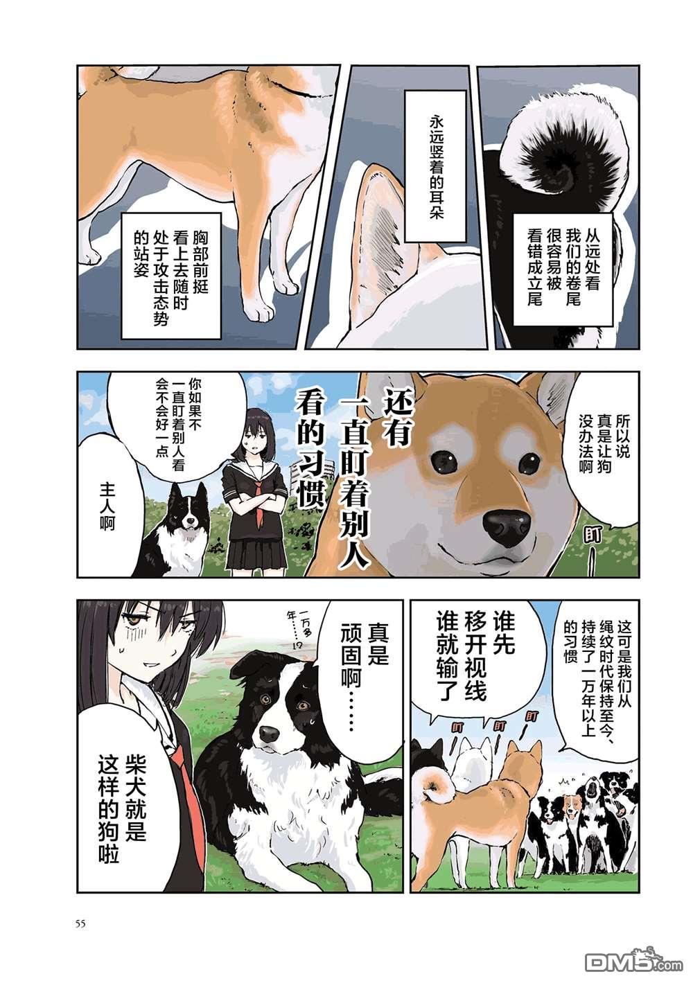 世界末日柴犬为伴第22话