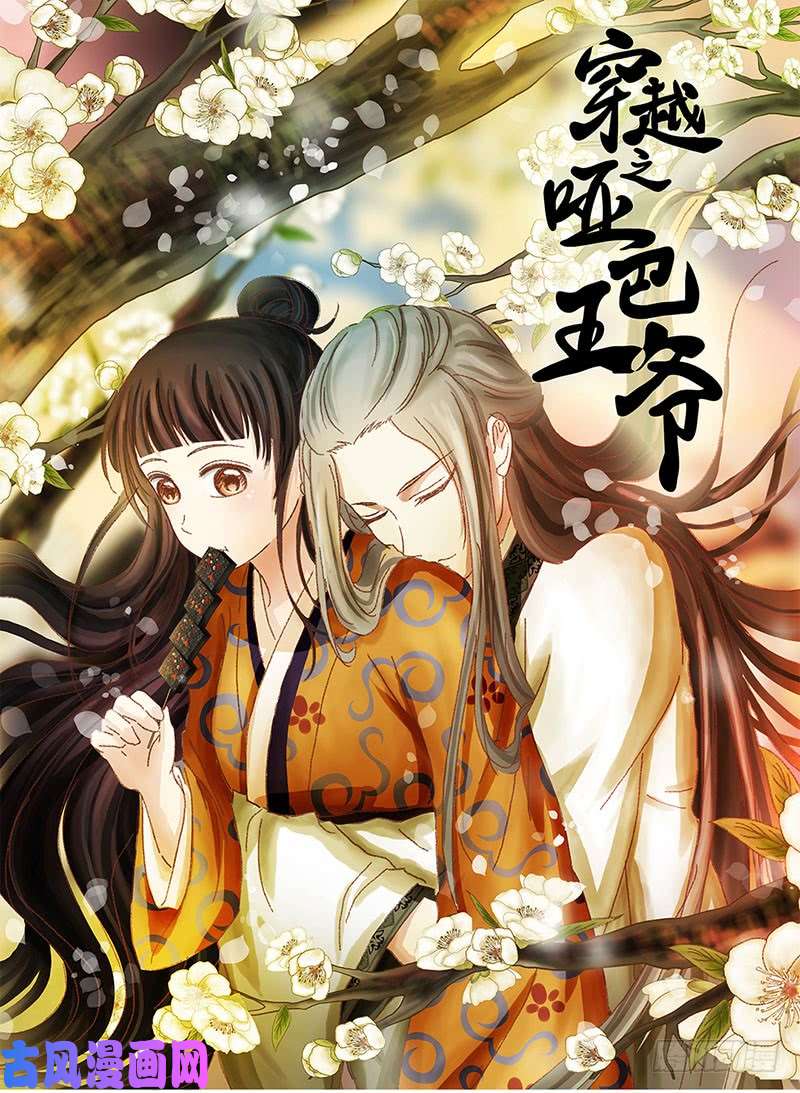 穿越之哑巴王爷被拒2