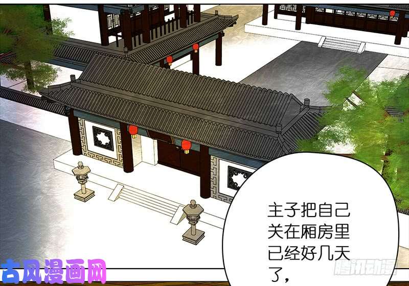 穿越之哑巴王爷被拒3