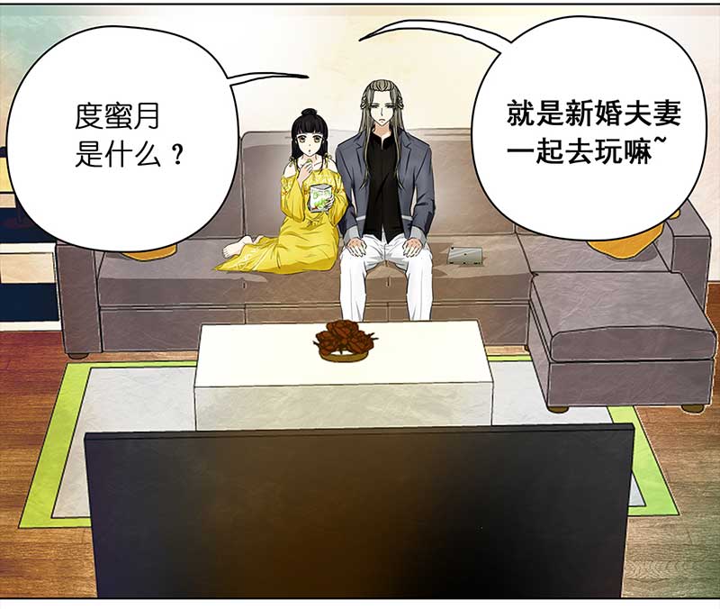 穿越之哑巴王爷142 即影即有相机（2）