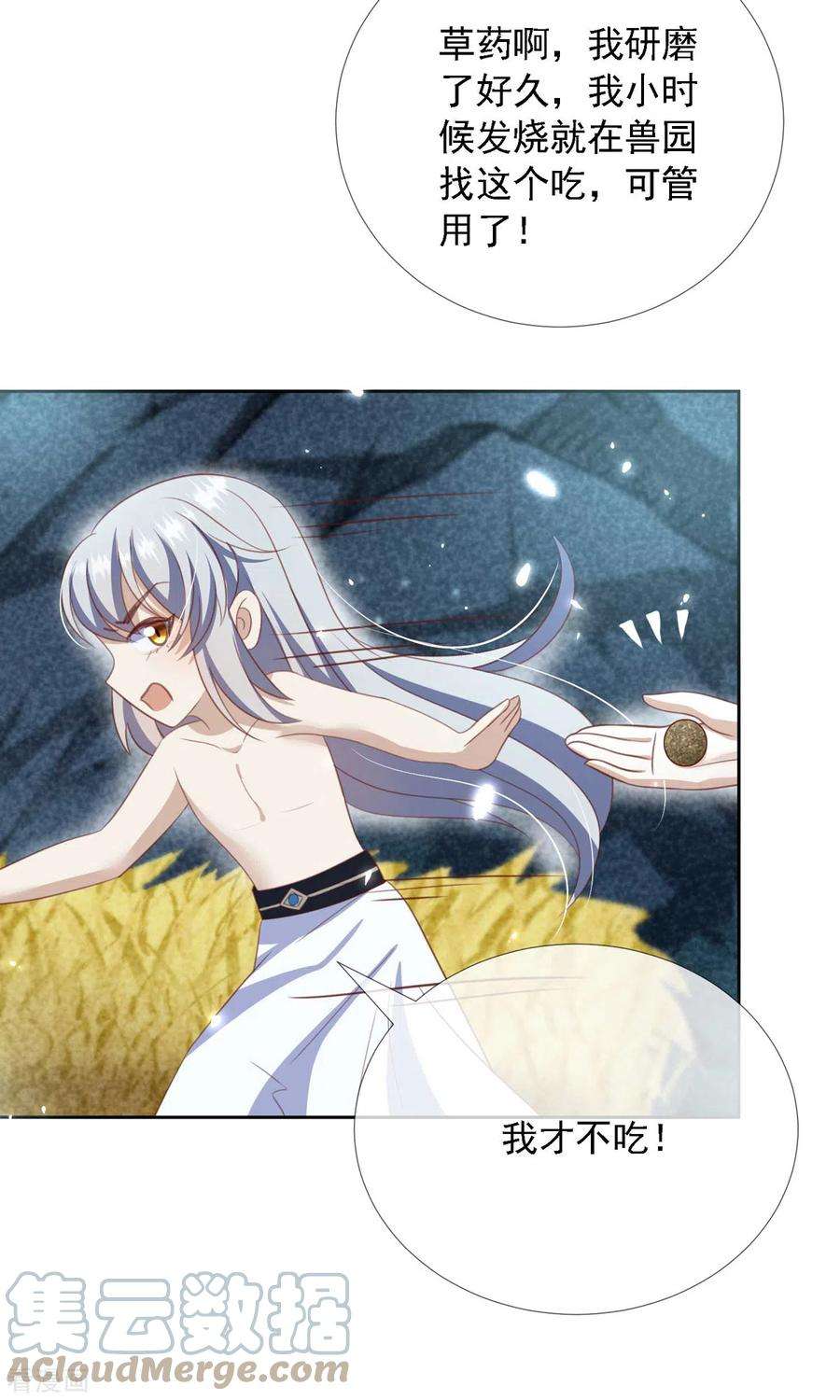 妖王的后妃都是我的11话 师傅的私生子