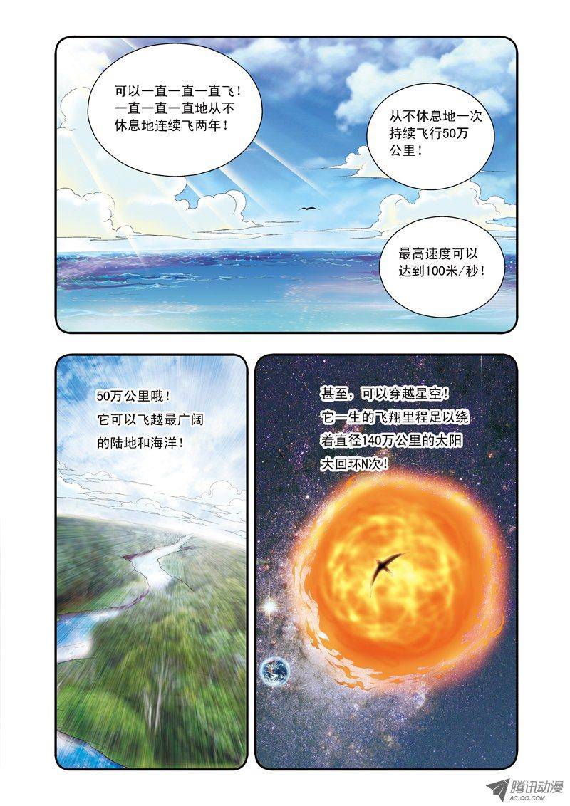 星海镖师035 蜂鸟和雨燕 上