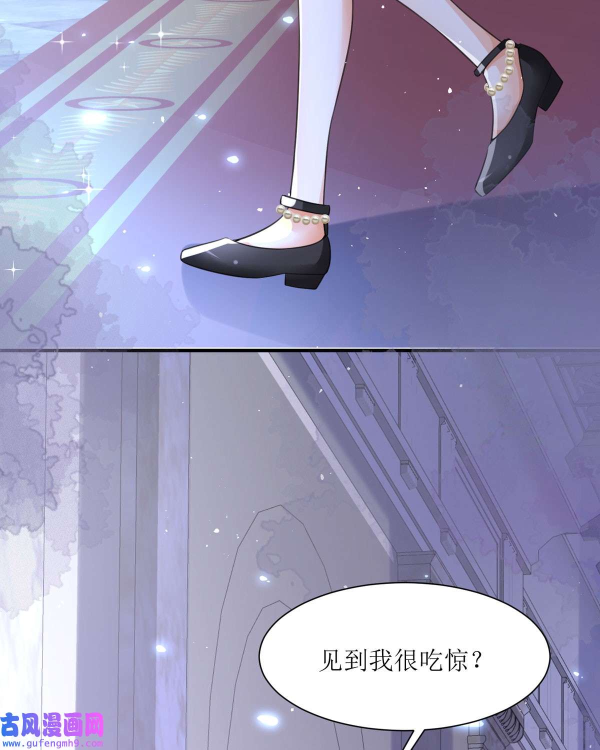 顶级恶魔的千金9 这女人是个疯子吧