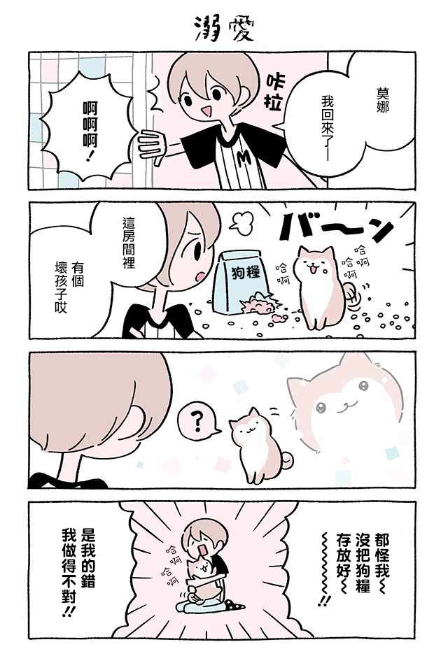 不可思议的猫咪 小九第218话