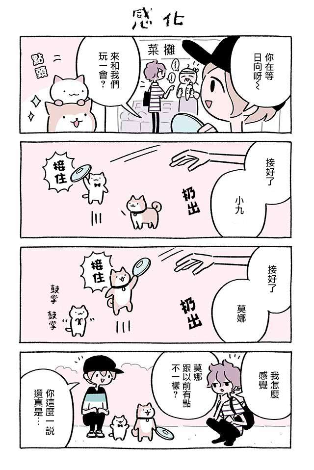 不可思议的猫咪 小九第220话