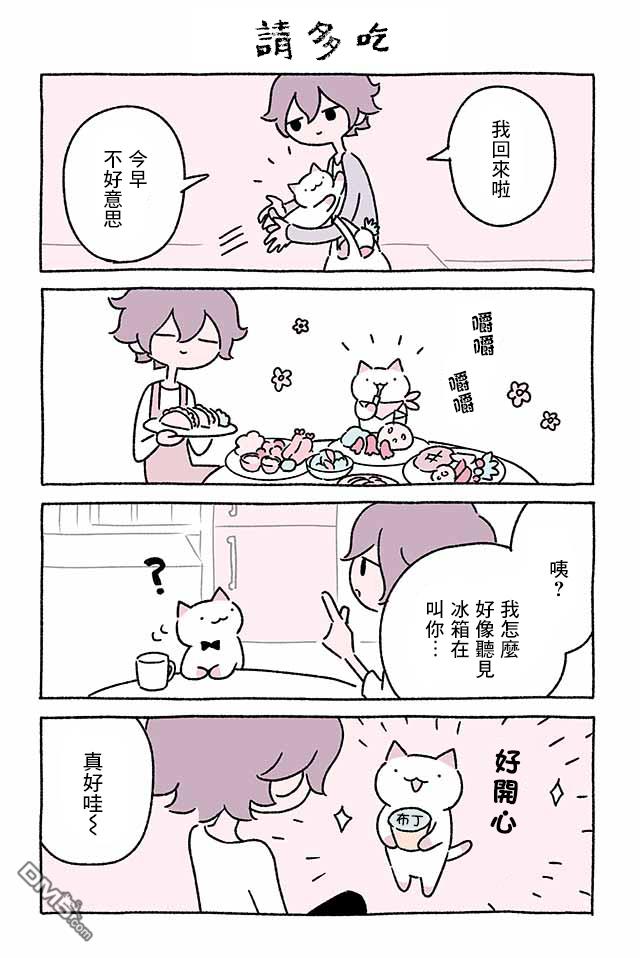 不可思议的猫咪 小九第152话