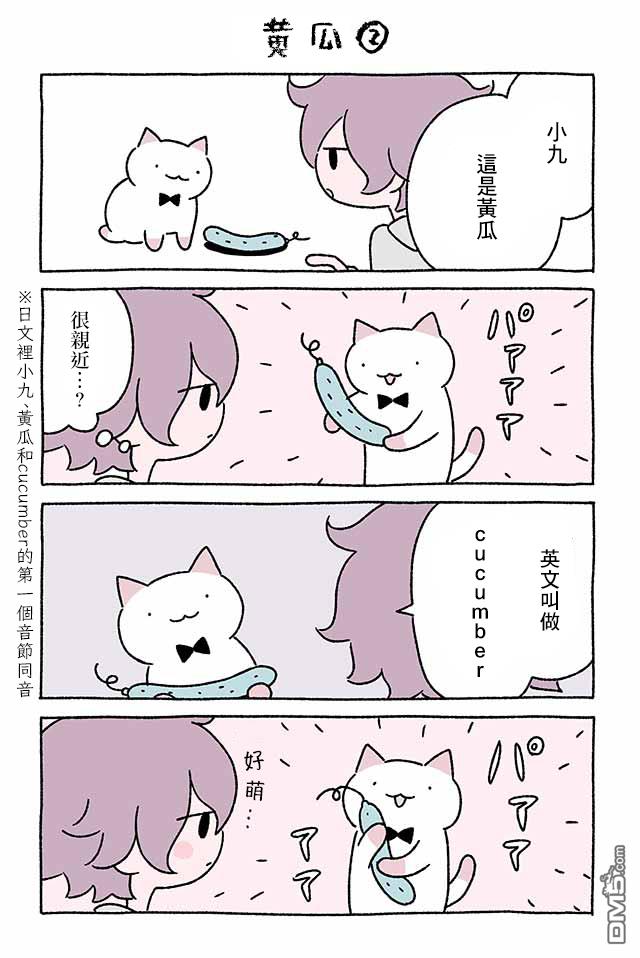 不可思议的猫咪 小九第155话