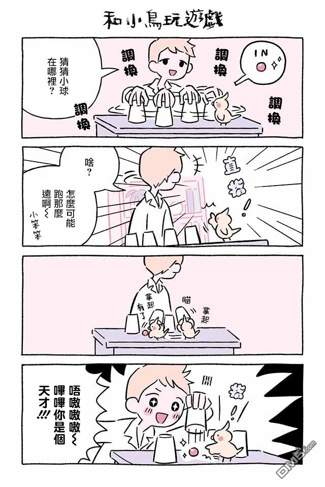 不可思议的猫咪 小九第260话