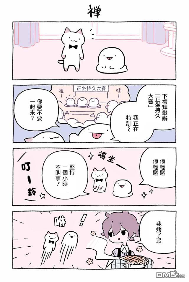 不可思议的猫咪 小九第260话