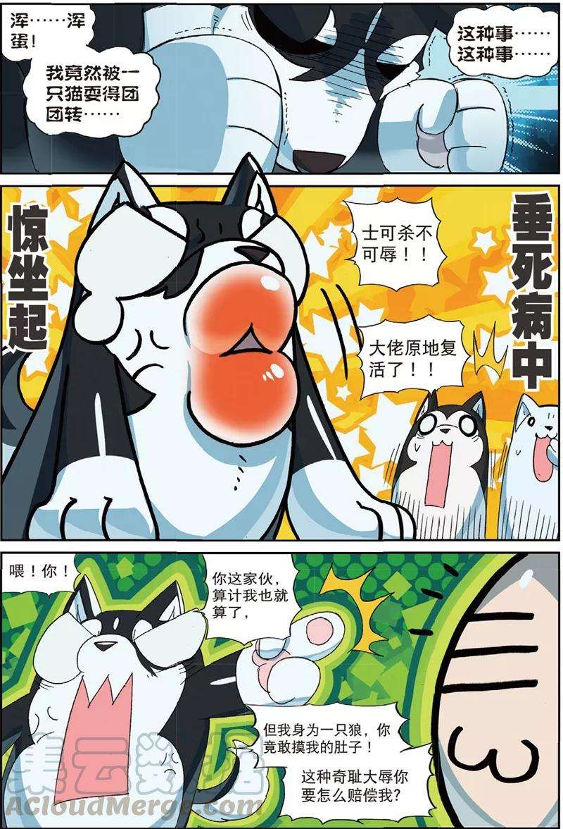 星之传说80 三傻大闹…没事了喵（下）