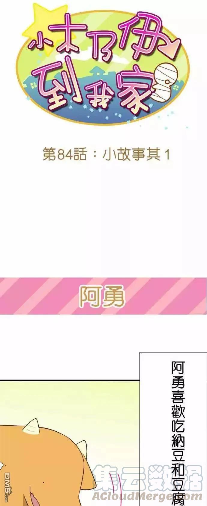 小木乃伊到我家84话