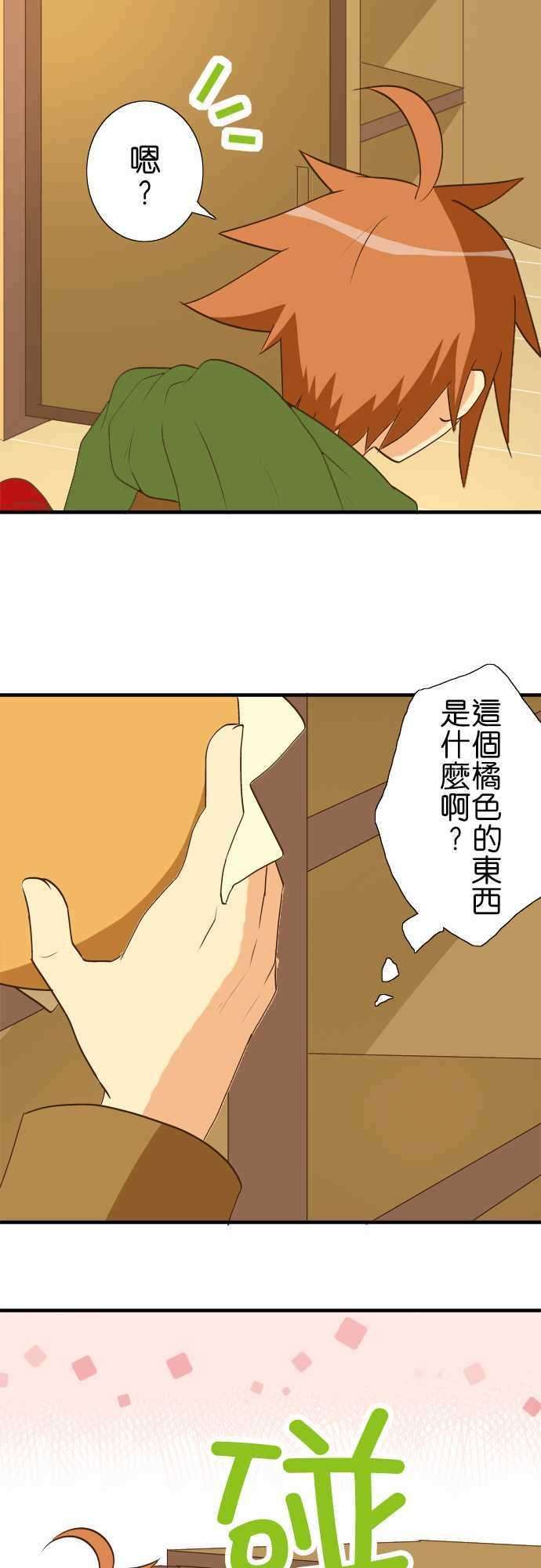 小木乃伊到我家30话 龙与花