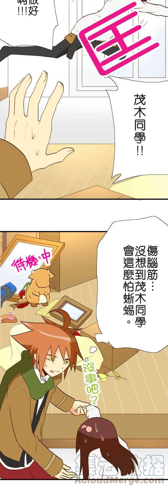 小木乃伊到我家30话 龙与花