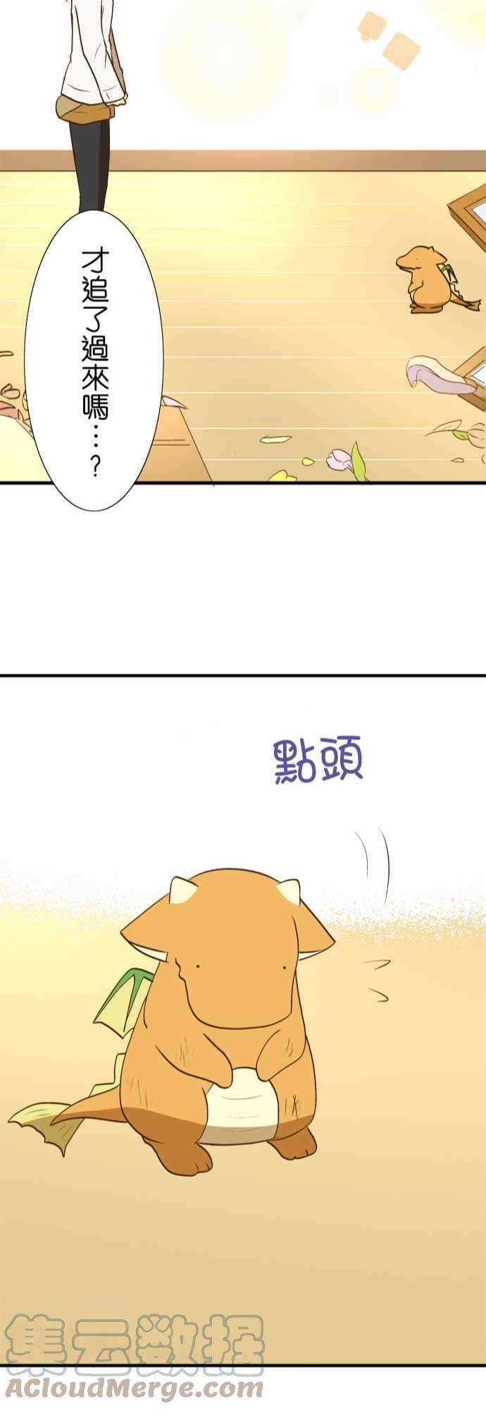 小木乃伊到我家30话 龙与花