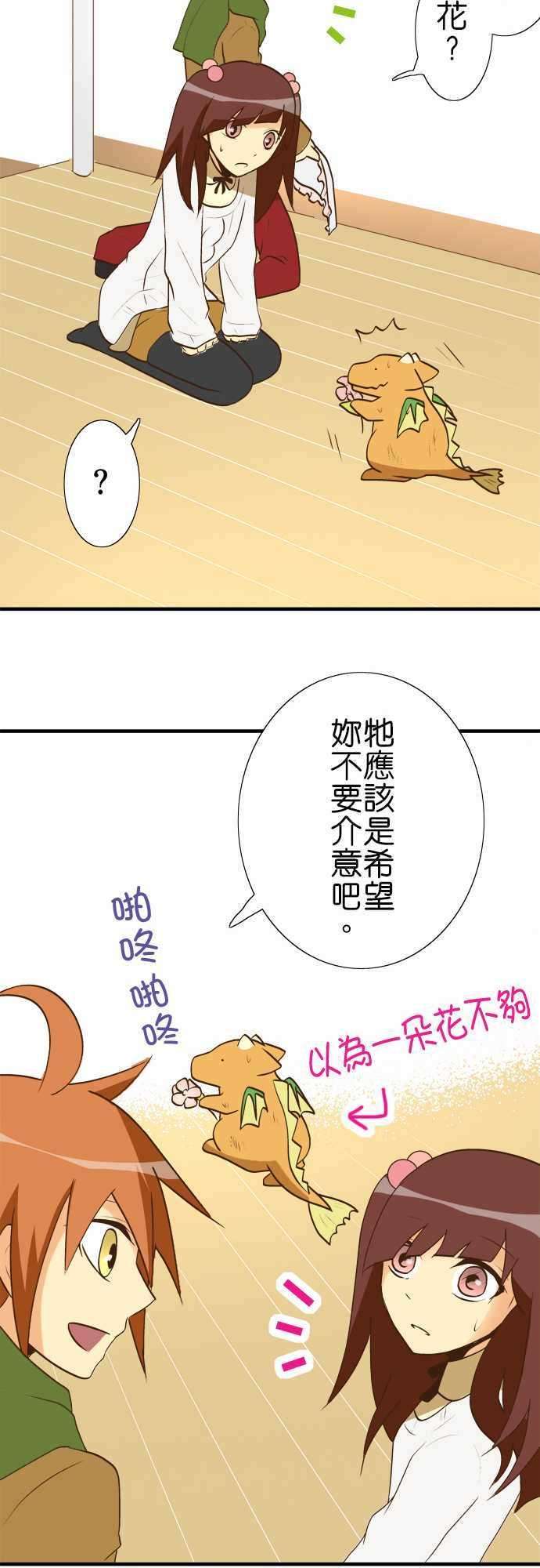 小木乃伊到我家30话 龙与花