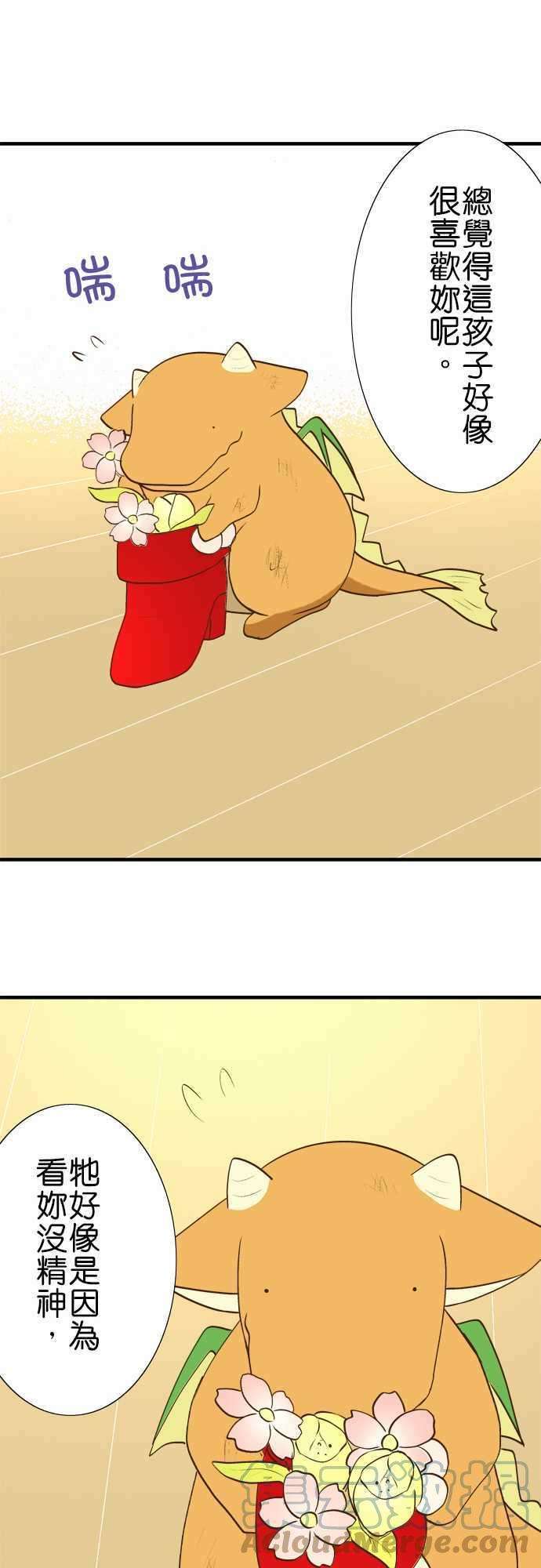 小木乃伊到我家30话 龙与花