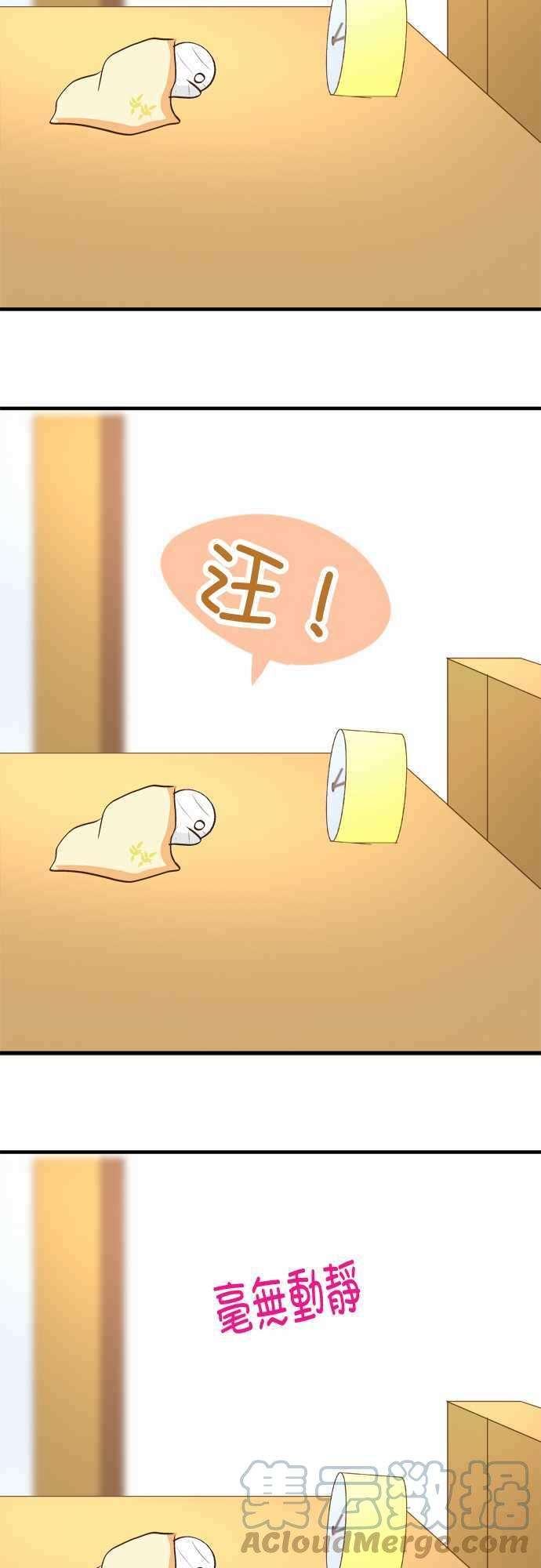 小木乃伊到我家30话 龙与花