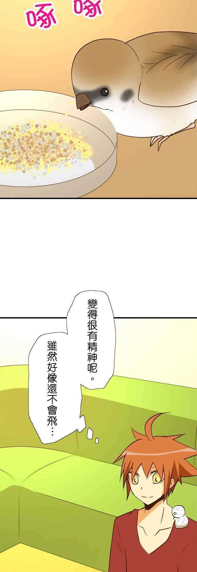 小木乃伊到我家40话 那天的愿望